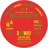 Conscious Sounds, Disciples, Vibronics