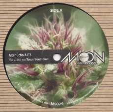 Alter Echo, E3, Tenor Youthman