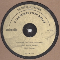 T-Jah meets Fikir Amlak