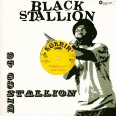 Black Stallion