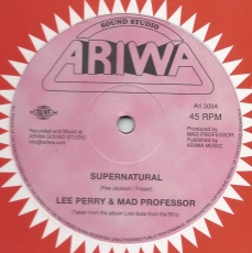 Lee Perry & Mad Professor