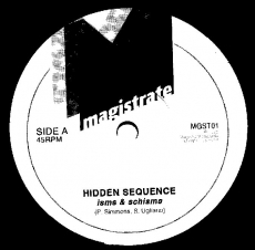 Hidden Sequence