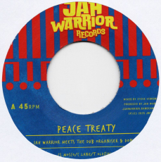 Jah Warrior & The Dub Organiser feat. Don Fe