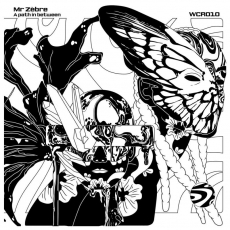 Mr. Zebre