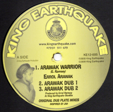 Errol Arawak
