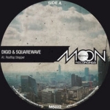 Digid, Squarewave