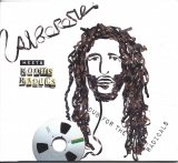 Alborosie meets Roots Radics