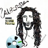 Alborosie Meets Roots Radics