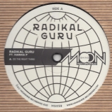 Radikal Guru ft. Marina P