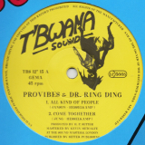 Provibes, Dr. Ring Ding, HP Setter