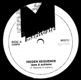 Hidden Sequence