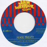 Jah Warrior & The Dub Organiser feat. Don Fe