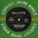 Vibronics feat. Nia Songbird