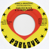 Pablove Black & 12 Tribes Band