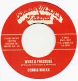 Dennis Walks
