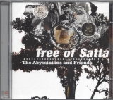 Abyssinians