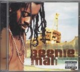 Beenie Man